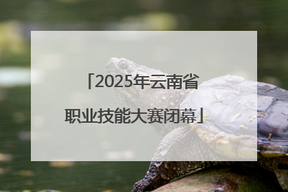 2025年云南省职业技能大赛闭幕