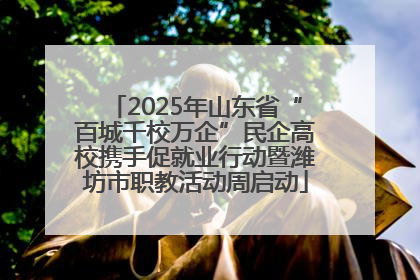 2025年山东省“百城千校万企”民企高校携手促就业行动暨潍坊市职教活动周启动