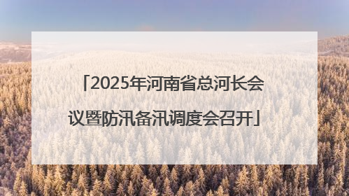 2025年河南省总河长会议暨防汛备汛调度会召开