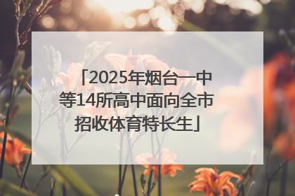 2025年烟台一中等14所高中面向全市招收体育特长生