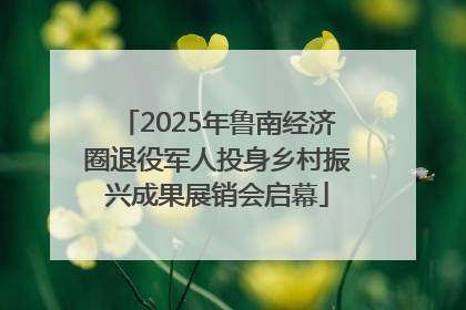 2025年鲁南经济圈退役军人投身乡村振兴成果展销会启幕