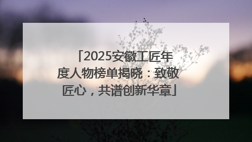 2025安徽工匠年度人物榜单揭晓：致敬匠心，共谱创新华章