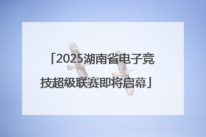 2025湖南省电子竞技超级联赛即将启幕