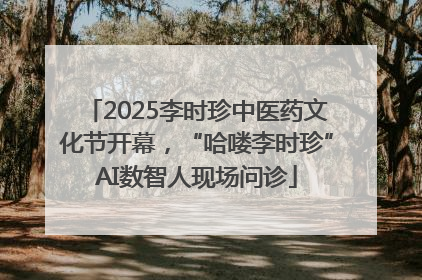 2025李时珍中医药文化节开幕，“哈喽李时珍”AI数智人现场问诊