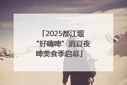 2025都江堰“好嗨啤”消夏夜啤美食季启幕