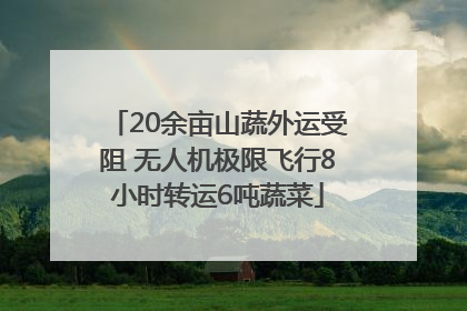 20余亩山蔬外运受阻 无人机极限飞行8小时转运6吨蔬菜