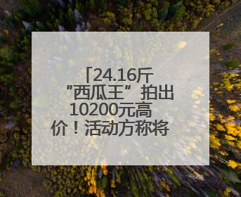 24.16斤“西瓜王”拍出10200元高价！活动方称将注入助学基金
