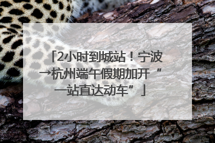 2小时到城站！宁波→杭州端午假期加开“一站直达动车”