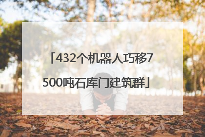 432个机器人巧移7500吨石库门建筑群