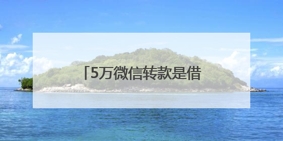 5万微信转款是借还是套现？法院判定借贷关系不成立，店老板组织歌舞巡演自我“恢复名誉”