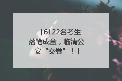 6122名考生落笔成章，临清公安“交卷”！