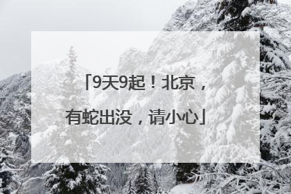 9天9起！北京，有蛇出没，请小心