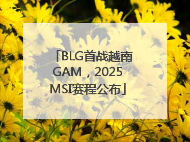 BLG首战越南GAM，2025MSI赛程公布
